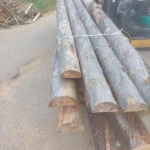 Внутренняя отделка бани полубревном из сосны кело