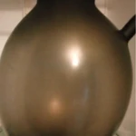 Фото №3 Винный гриб