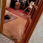 Фото №2 Грузчики недорого