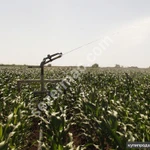 Фото №6 Дождевальная машина с пушкой - FJB GROUP LLC