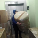 Фото №2 Грузчики недорого