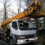 Фото №2 Спил деревьев