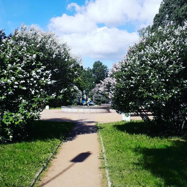 Фото Аккуратно покошу траву. 
