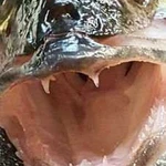 Рыбалка Самарская лука