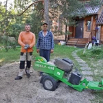Фото №4 Спил деревьев, измельчение вывоз веток, удаление пней