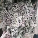 Фото №2 Вероника иволистная. Цена за 100 грамм.