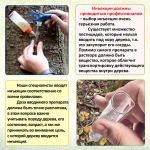 Фото №3 Инъекции Пальмам - уколы против насекомых и болезней