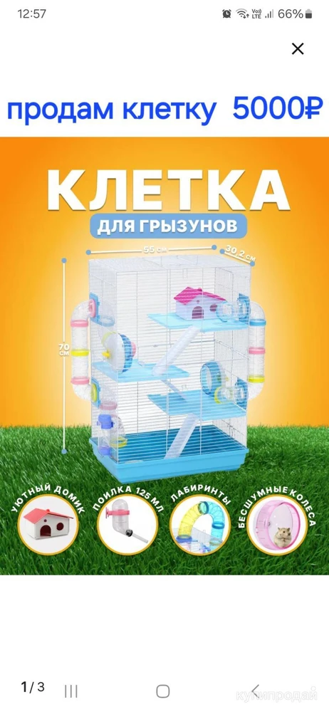 Фото 2 клетки