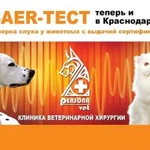 Baer-тест (проверка слуха животных) в юфо