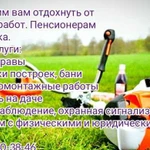 Скошу траву триммером, покос, сенокос, спил деревь