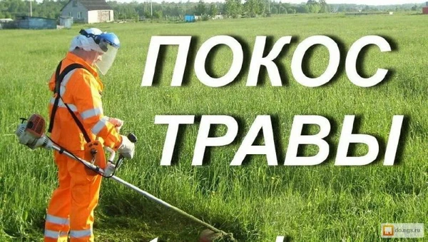 Фото Пакос травы, уборка територии 