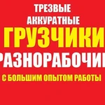 Грузоперевозки вывоз мусора