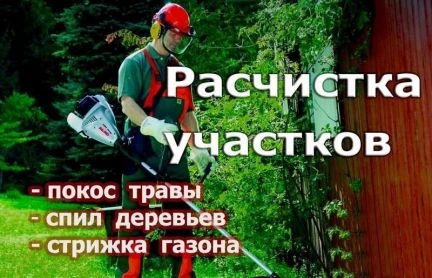 Фото Спил деревьев, Скос травы и Зачистка участков с вы