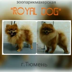 Фото №6 Стрижка собак