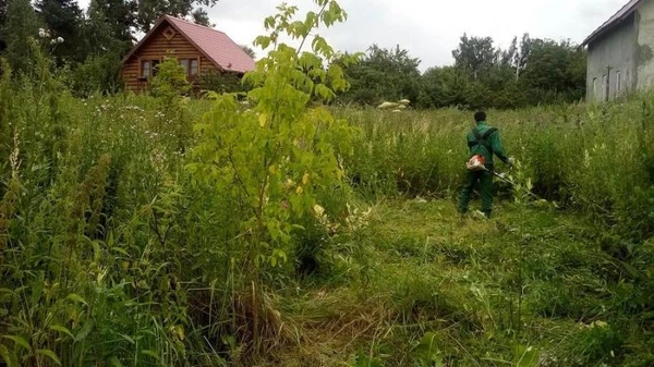 Фото Покос травы