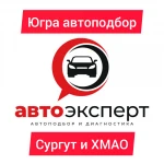 Проверка авто перед покупкой Сургут. Автоподбор