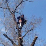 Спил деревьев,покос травы