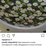 Фото №3 Натяжные потолки
