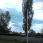Фото №5 СПИЛ ДЕРЕВЬЕВ