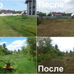 Фото №3 Пакос травы, спил деревьев Расчистка участка вывоз
