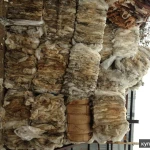 Фото №2 Продам ПВД вкладыш прозрачный