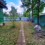 Фото №18 Прокосили траву и ХРЕН В ПОС.ВЫРИЦА. ДО и ПОСЛЕ.