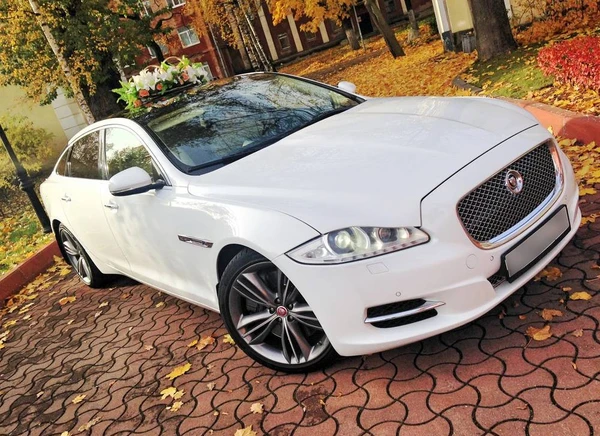 Фото Авто на свадьбу. Прокат Jaguar XJ New!