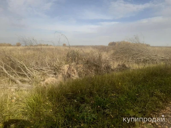 Фото Сдам в аренду поле