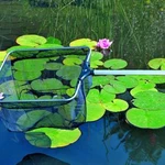 Фото №5 Уход и чистка фонтанов, бассейнов, водоемов