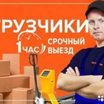 Услуги грузчиков. Без поэтажности. Срочная подача