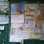 Фото №2 расклейка объявлений и плакатов
