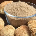 Фото №9 Грибы, мицелий ежовика гребенчатого (гериций, львиная грива, ямабушитаке)