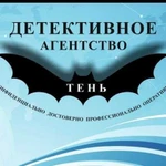 Детективное агентство Тень, Частный детектив