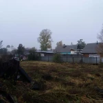 Фото №3 покос выкос травы кустарника бурьяна сухостоя