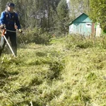 Фото №5 Ваш участок зарос Нужен покос травы Я помогу Вам