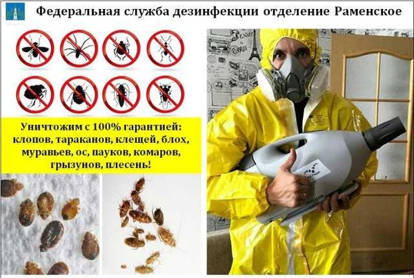 Фото Уничтожение клопов, тараканов, клещей, насекомых