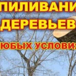 Спиливание деревьев,обрезка фруктовых