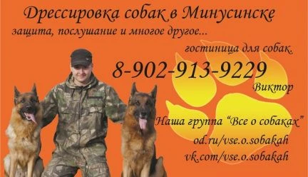 Фото Дрессировка собак любой породы