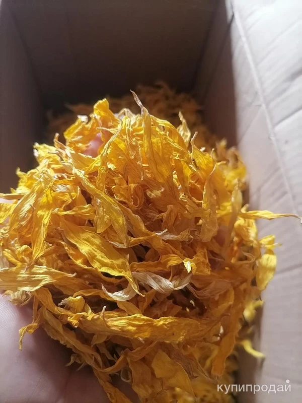 Фото Лепестки подсолнуха. Цена за 100 грамм.