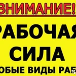 Фото №4 Уборка,вывоз мусора,снега