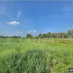 Фото №2 Продам 10 гектар сельхоз.земля