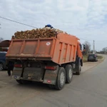 Фото №3 Дрова Берёзовые.