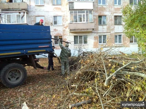 Фото Вывоз мусора.Город Омск тел 89238234809