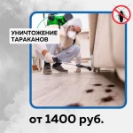 Уничтожение тараканов