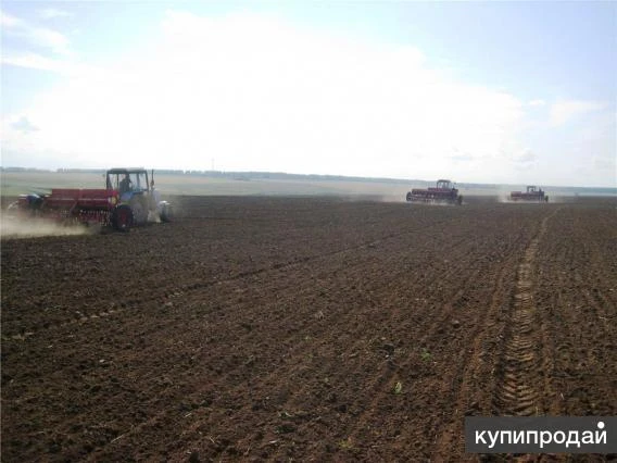 Фото Продается земельный участок 281 Га.
