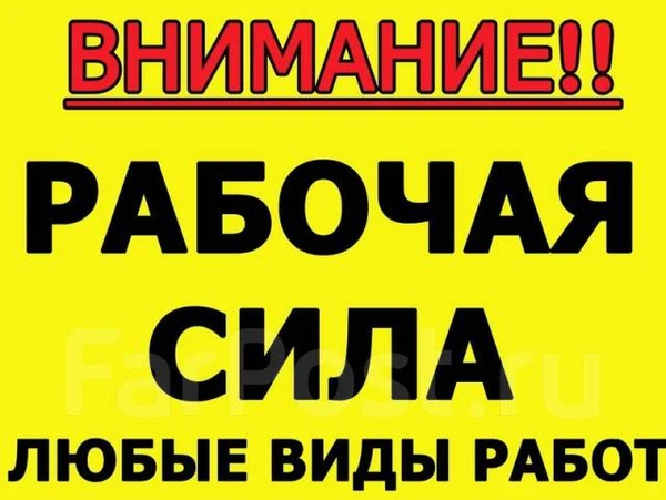 Фото Грузоперевозки / грузчики