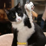 Фото №5 Гарик и Гошик