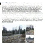 Фото №46 Расчистка участка от кустарника и деревьев. ОТЗЫВ КЛИЕНТА.