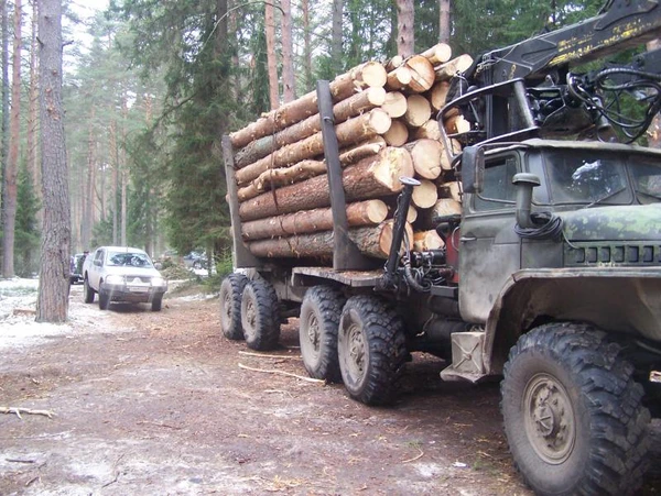 Фото Купить дрова в Боровске, доставка в Боровском районе.