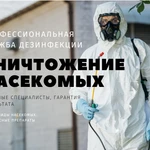 Дезинфекция. Дезинсекция. Уничтожение насекомых